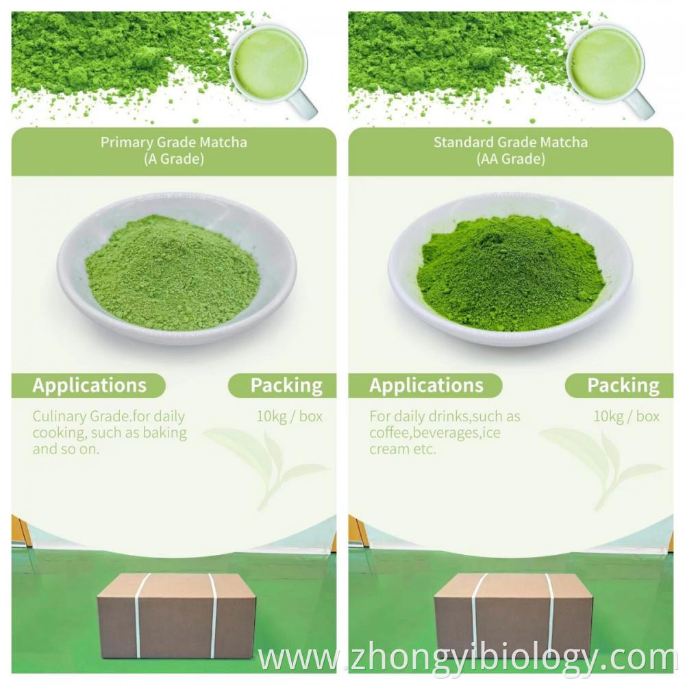 Matcha Powder Jpg